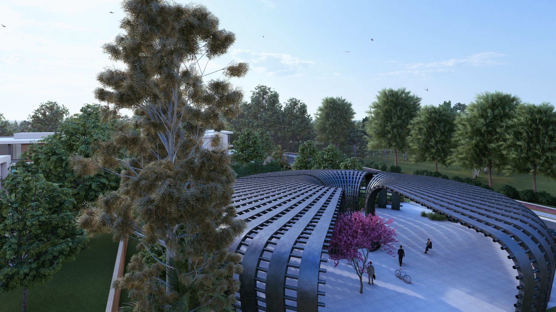Piazza Concept