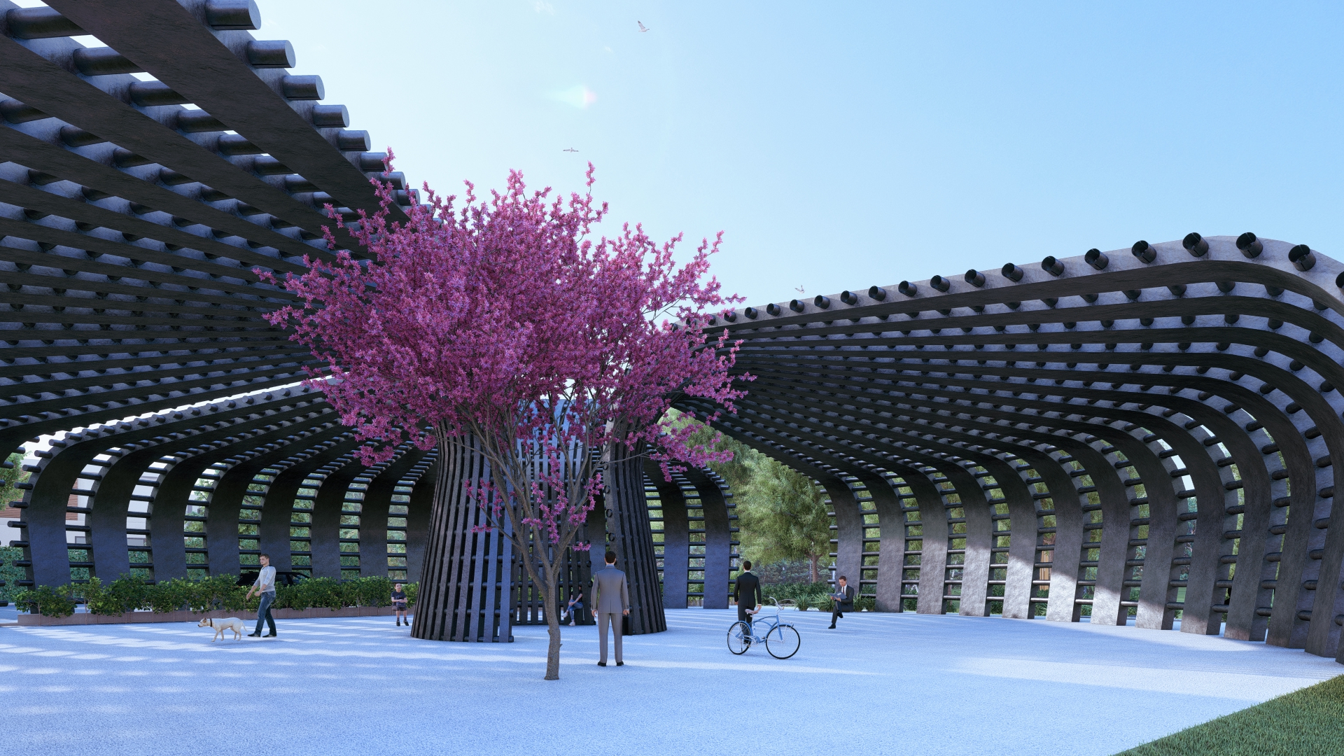 Piazza Concept