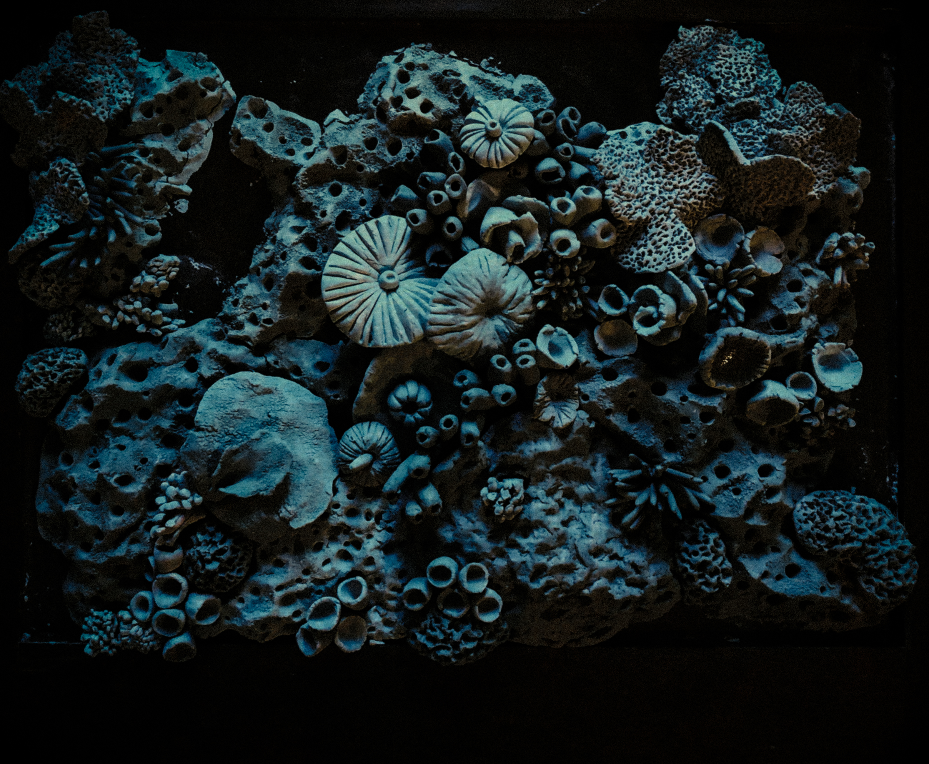 Bocet (Ceramic)